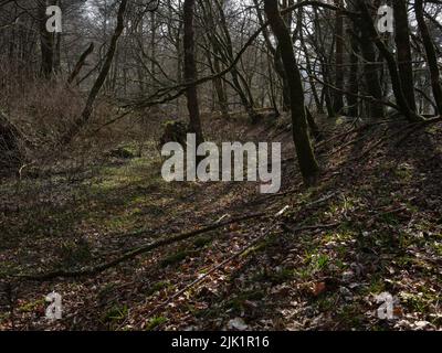 Einst zur Stromversorgung eines Gutsensägewerks verwendet, wurden die ausgetrockneten und überwucherten Überreste eines Mühlenteiches vor etwa 70 Jahren aufgegeben. Argyll und Bute. Schottland Stockfoto