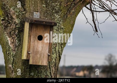 Ein kleines Vogelhaus, das an einem Baum hängt Stockfoto