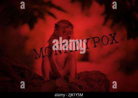 Monkeypox diseas Ausbruchskonzept. Monkeypox ist eine virale Zoonose, die von Tieren auf den Menschen übertragen wird. Stockfoto
