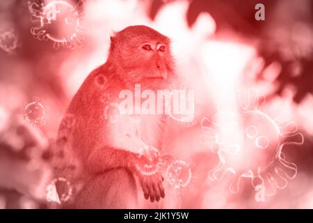 Monkeypox diseas Ausbruchskonzept. Monkeypox ist eine virale Zoonose, die von Tieren auf den Menschen übertragen wird. Stockfoto