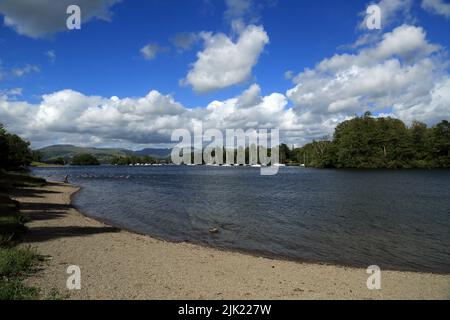 Blick vom Strand aus auf den Lake Windermere von Harrow Slack, Windermere, Lake District, Cumbria, England, Stockfoto