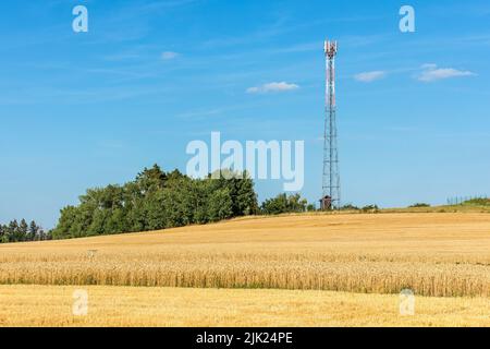 Eisenkommunikationsturm auf dem Hügel mit Weizenfeld. Landwirtschaft. Weizenanbau. Getreidehandel. Neue GSM-Antennen auf einem hohen Turm vor blauem Himmel Stockfoto