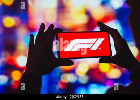 Brasilien. 29.. Juli 2022. In dieser Abbildung wird das Formel-1-Logo auf einem Smartphone-Bildschirm angezeigt. (Foto von Rafael Henrique/SOPA Images/Sipa USA) Quelle: SIPA USA/Alamy Live News Stockfoto