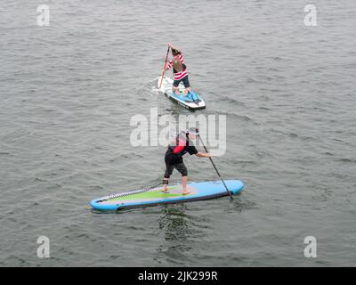 BIDEFORD, DEVON, ENGLAND - JULI 24 2022: Paddlebarder beim jährlichen Water Festival Cardboard Boat Race, River Torridge. Stockfoto