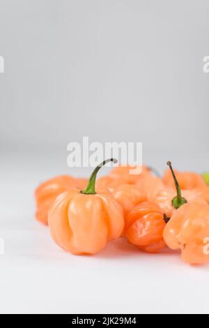 Ein Scotch-Haubenpfeffer mit Stiel auf weißem Hintergrund, frischer Pfeffer, Orangenkorallenpfeffer, nigerischem Scotch-Haubenpfeffer Stockfoto