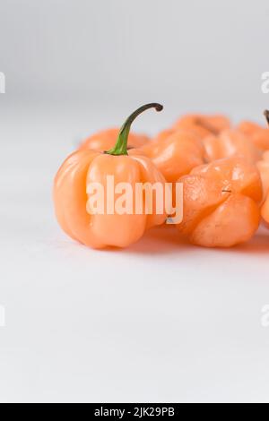 Ein Scotch-Haubenpfeffer mit Stiel auf weißem Hintergrund, frischer Pfeffer, Orangenkorallenpfeffer, nigerischem Scotch-Haubenpfeffer Stockfoto