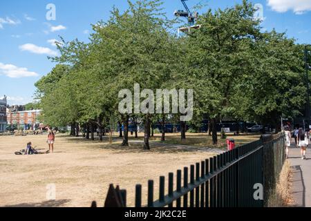 London, 2022. Juli: Chiswick Town Hall Avenue auf dem Turnham Green Park neben der Chiswick High Street in West London Stockfoto