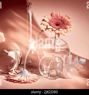 Biophilia Design Hintergrund. Weiße Gerbera, exotische Blätter. Blumen, Gläser aus transparentem Glas, Flaschen, Fläschchen. Reflexionen, verzerrte florale Elemente Stockfoto