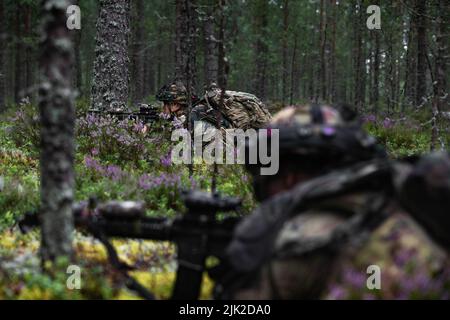 Kavallerie-Scouts der US-Armee, die der 4.. Staffel, dem 10.. Kavallerie-Regiment, dem Kampfteam der 3.. Panzerbrigade, der 4.. Infanterie-Division, zugewiesen wurden, ziehen Sicherheit während einer Aufklärungspatrouille Teil der multinationalen Trainingsübung, Vigilant Fox, gehalten in Niinisalo, Finnland, 27. Juli, 2022. Das Kampfteam der 3. Panzerbrigade, die 4. Infanterie-Division sowie finnische und britische Armeeeinheiten trainierten in Finnland, um die Beziehungen und Interoperabilität zwischen den Nationen weiter zu stärken. (USA Foto der Armee-Nationalgarde von Sgt. Agustín Montañez) Stockfoto