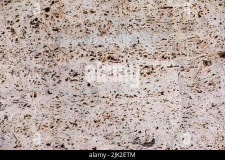 Helle Kalksteinplatte mit Muschelmarkierungen. Muschelsteinstruktur. Naturstein Hintergrund Stockfoto