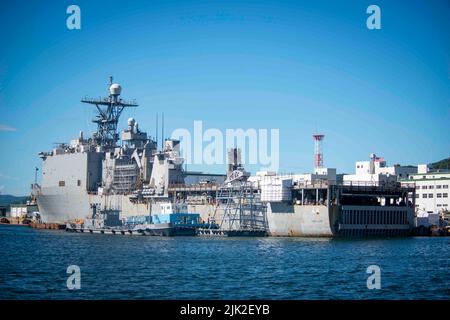 Matrosen und Mitarbeiter des Naval Supply Systems Command Fleet Logistics Center Yokosuka, Site Sasebo verbinden während einer bilateralen Trainingsentwicklung mit Mitgliedern der Japan Maritime Self-Defense Force (JMSDF) einen Kraftstoffschlauch mit dem Anlegesteg USS Ashland (LSD 48) Kommandant, Fleet Activities Sasebo 29. Juli 2022. Die Schulung testete die Kompatibilität zwischen US-Navy und JMSDF-Kraftstoffgeräten, um Interoperabilität und Einsatzbereitschaft zu gewährleisten. (USA Navy Foto von Mass Communication Specialist 1. Class Jeremy Graham) Stockfoto