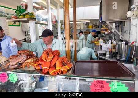 Oban, Meeresfrüchte am Pier, Mitarbeiter der Seafood Hut, im Bild Krabben und Hummer, schottische Highlands, Schottland, Sommer 2022 Stockfoto