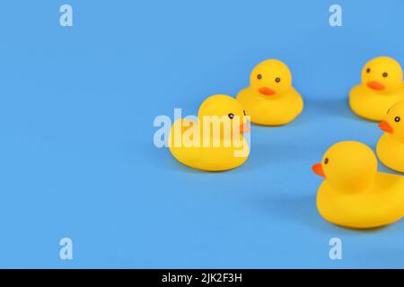 Gelbe Gummienten auf blauem Hintergrund mit Kopierraum Stockfoto