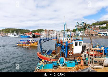 Oban Hafen und Hafen, Fischerboote und Boote, die im Hafen, Oban, Schottland, im Sommer 2022 festgemacht sind Stockfoto