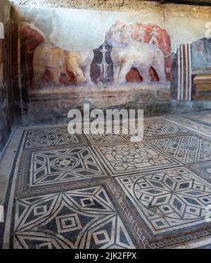 POMPEJI, ITALIEN - 03. MAI 2022 - Ein wunderschön ausgegrabener Mosaikboden mit geometrischen Formen und einem Wandfresko mit großen Tieren in einer Villa von Pompeji, Sout Stockfoto