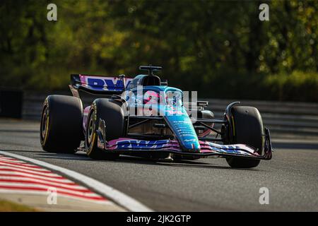 Budapest, Ungarn . 29.. Juli 2022. #14 Fernando Alonso, Alpine während des GP von Ungarn, 28-31. Juli 2022 in Hungaroring, Formel 1 Weltmeisterschaft 2022. Kredit: Insidefoto srl/Alamy Live Nachrichten Stockfoto