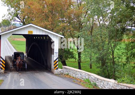 Ein Amish Buggy rollt durch eine historische überdachte Brücke in den ländlichen Gebieten um Lancaster County, Pennsylvania Stockfoto