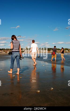 Junge Erwachsene waten an einem sonnigen Sommertag im Urlaub bei Ebbe am Strand Stockfoto