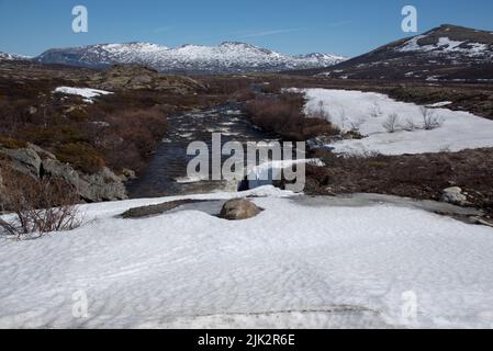 Der Fluss Driva fließt auf etwa 1000 Meter über dem Meeresspiegel durch das Dovrefjell-Gebirge in Mittelnorwegen Stockfoto