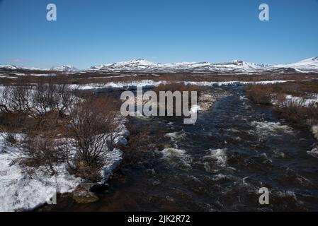 Der Fluss Driva fließt auf etwa 1000 Meter über dem Meeresspiegel durch das Dovrefjell-Gebirge in Mittelnorwegen Stockfoto