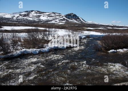 Der Fluss Driva fließt auf etwa 1000 Meter über dem Meeresspiegel durch das Dovrefjell-Gebirge in Mittelnorwegen Stockfoto