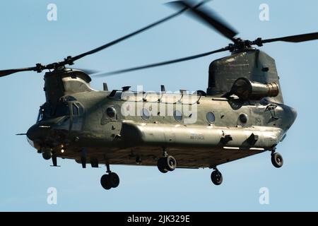 RAF Chinook macht sein Display auf der RIAT 2022. Stockfoto