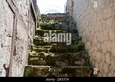 Alte vegetierte Treppe an einem Haus in der alten Stadt Herculaneum führt nirgendwo, Italien Stockfoto