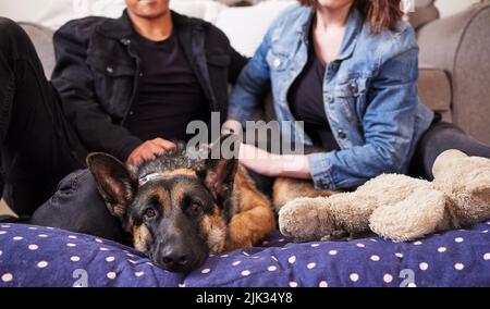 Unser Hund komplettiert unsere Familie. Ein unverkennbares Paar sitzt in ihrem Wohnzimmer mit ihrem Schäferhund während eines Tages zu Hause. Stockfoto