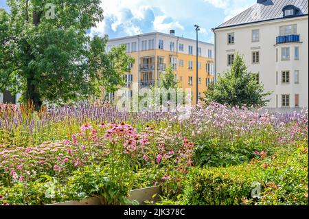 Blick vom Stadtpark Hörsalsparken auf die Wohnstraßen Gamla Rådstugugatan und Prastgatan im Zentrum von Norrkoping im Sommer in Schweden. Stockfoto