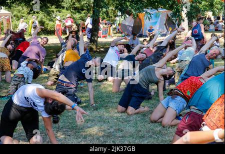 Wiltshire, Großbritannien. 29.. Juli 2022. 29.. Juli 2022, Womad Festival, Charlton Park, Malmesbury, Wiltshire. Brasilianischer Capoeira-Workshop in der wunderschönen grünen Umgebung des Arboretums das WOMAD Festival fand 1982 im Bath and West Showground in Shepton Mallet, Somerset, seine erste Veranstaltung statt. In den vergangenen 40 Jahren hat die Peter Gabriel-Organisation weltweit Festivals veranstaltet, von Spanien bis Neuseeland, Chile bis Abu Dhabi. Anlässlich des 40.-jährigen Jubiläums findet dieses Wochenende vom 28-30. Juli an sein Flaggschiff-Festival in Großbritannien im Charlton Park statt. WOMAD - Welt der Musik, Kunst und Tanz. Credi Stockfoto