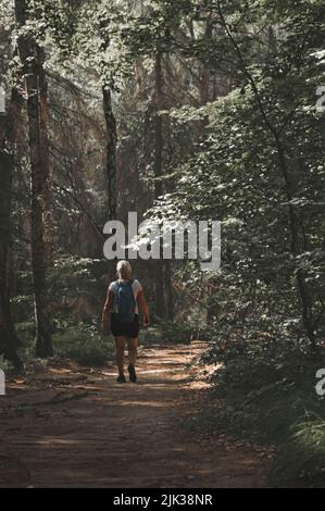 Frau Wandern im Wald Stockfoto