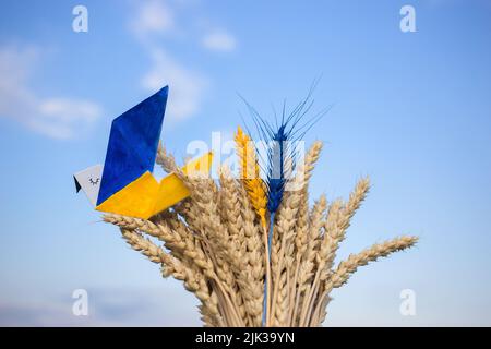 Die Papiertaube des Friedens, deren Flügel in gelb-blauen Farben der ukrainischen Flagge gemalt sind, sitzt auf einem Strauß trockener, reifer Weizenspikelets am Himmel. Zuschl Stockfoto