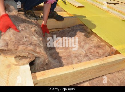 Dachisolierung. Ein Dachdecker installiert eine Mineralwolle- und Glaswolldämmung zwischen den Dachsparren. Stockfoto