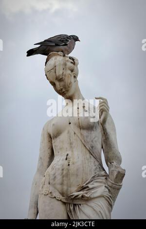 Fragment der Statue Diana die Jägerin von Louis Auguste Leveque mit Taube auf der Oberseite im Tuileries Garten in Paris, Frankreich Stockfoto