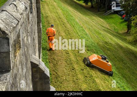 Grashang, der von einem ferngesteuerten orangefarbenen Mähroboter (KommTek RoboFlail) und Arbeiter in der historischen Stadtmauer von York, Yorkshire, England, Großbritannien, gemäht wird. Stockfoto