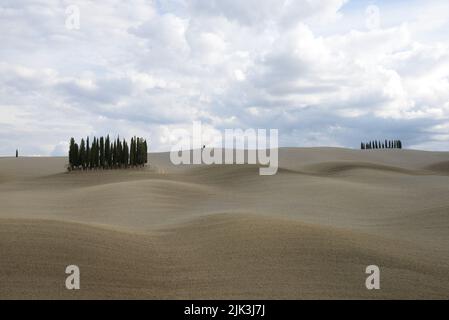 Landschaft der toskanischen Felder in Italien Stockfoto