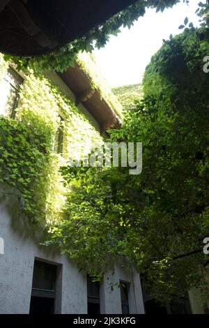 Das Innere des Cifrapalota Palastes in Kecskemet, Ungarn Stockfoto