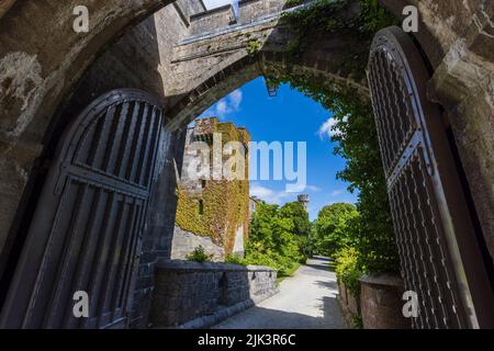 Durch das Eingangstor zum Schloss Penrhyn, Gwynedd, Nordwales Stockfoto