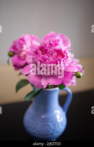 Wunderschöne, frische pinke Pfingstrosen in einem blauen Krug Stockfoto