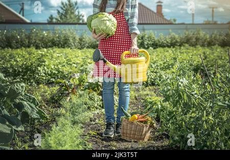 Eine junge Agronomin bewässert Pflanzen aus einer gelben Gießkannen in ihrem Garten. Die Freude, sich um Ihre Farm zu kümmern Stockfoto