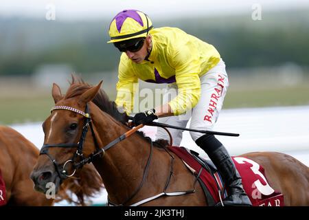 Sea La Rosa wird von Jockey Tom Marquand auf dem Weg zum Sieg der Qatar Lillie Langtry Stakes am fünften Tag des Qatar Goodwood Festival 2022 auf der Goodwood Racecourse, Chichester, gefahren. Bilddatum: Samstag, 30. 2022. Stockfoto