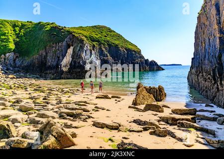 Dramatische Kalksteinklippen im Pembrokeshire Coast National Park in Skrinkle Haven, Pembrokeshire, Wales, Großbritannien Stockfoto