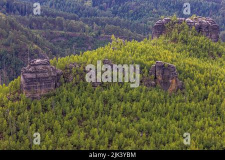 Jetrichovice, Tschechische Republik. 29.. Juli 2022. Im Jahr 2006, am 22. Juli, ereignete sich ein einwöchiger Waldbrand auf dem Havrani Hill in der Nähe von Jetrichovice. Der Hügel wurde dann auf natürliche Weise entwickelt und von Experten überwacht, um zu sehen, wie sich das Gebiet auf natürliche Weise regenerieren würde. Hier ist der Zustand des Geländes vom 29. Juli 2022, Blick von Mariens Aussichtspunkt. Kredit: Vojtech Hajek/CTK Foto/Alamy Live Nachrichten Stockfoto