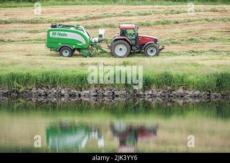 Silage zu runden Ballen für die Winterfütterung auf einem Bauernhof Stockfoto