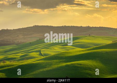 Erstaunliche Landschaft der grünen Hügel in der Toskana Landschaft bei Sonnenuntergang, Italien Stockfoto