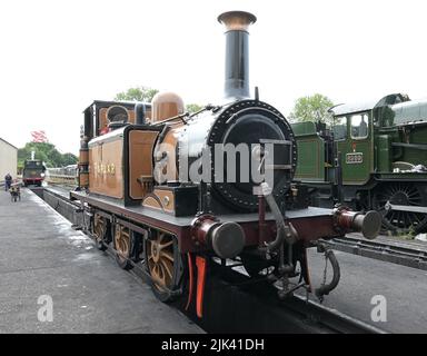 Poplar eine Terrier-Lokomotive im Sheffield Park. Stockfoto