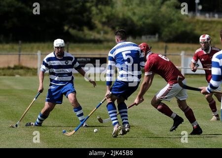 Newtonmore, Großbritannien. 30 Juli 2022. Newtonmore Camanachd Club First Team spielt Kinlochshiel auf der Eilan in der Mowi Premiership. Kingussie (in weiß und blau) gegen Kinlochshiel. Endergebnis 2-2. MOWI Premiership Ligaspiel. Shinty, oder „Camanachd“ in Schottland, ist ein Spiel, das nur in den Highlands zwischen Teams gespielt wird, die Dörfer und Städte repräsentieren. Das Spiel ist älter als die aufgezeichnete Geschichte Schottlands und wird auf einem Rasen mit einem kleinen Ball und Stöcken (genannt Caman) gespielt. . Kredit: Rob Gray/Alamy Live Nachrichten Stockfoto