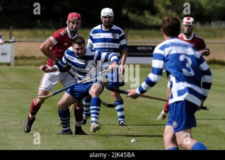 Newtonmore, Großbritannien. 30 Juli 2022. Newtonmore Camanachd Club First Team spielt Kinlochshiel auf der Eilan in der Mowi Premiership. Kingussie (in weiß und blau) gegen Kinlochshiel. Endergebnis 2-2. MOWI Premiership Ligaspiel. Shinty, oder „Camanachd“ in Schottland, ist ein Spiel, das nur in den Highlands zwischen Teams gespielt wird, die Dörfer und Städte repräsentieren. Das Spiel ist älter als die aufgezeichnete Geschichte Schottlands und wird auf einem Rasen mit einem kleinen Ball und Stöcken (genannt Caman) gespielt. . Kredit: Rob Gray/Alamy Live Nachrichten Stockfoto