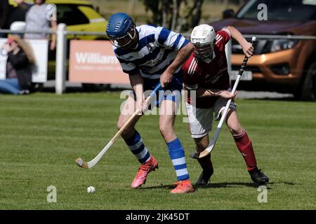 Newtonmore, Großbritannien. 30 Juli 2022. Newtonmore Camanachd Club First Team spielt Kinlochshiel auf der Eilan in der Mowi Premiership. Kingussie (in weiß und blau) gegen Kinlochshiel. Endergebnis 2-2. MOWI Premiership Ligaspiel. Shinty, oder „Camanachd“ in Schottland, ist ein Spiel, das nur in den Highlands zwischen Teams gespielt wird, die Dörfer und Städte repräsentieren. Das Spiel ist älter als die aufgezeichnete Geschichte Schottlands und wird auf einem Rasen mit einem kleinen Ball und Stöcken (genannt Caman) gespielt. . Kredit: Rob Gray/Alamy Live Nachrichten Stockfoto