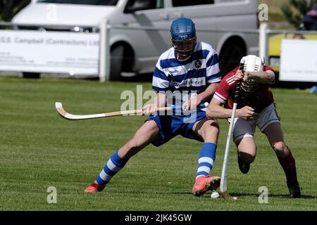 Newtonmore, Großbritannien. 30 Juli 2022. Newtonmore Camanachd Club First Team spielt Kinlochshiel auf der Eilan in der Mowi Premiership. Kingussie (in weiß und blau) gegen Kinlochshiel. Endergebnis 2-2. MOWI Premiership Ligaspiel. Shinty, oder „Camanachd“ in Schottland, ist ein Spiel, das nur in den Highlands zwischen Teams gespielt wird, die Dörfer und Städte repräsentieren. Das Spiel ist älter als die aufgezeichnete Geschichte Schottlands und wird auf einem Rasen mit einem kleinen Ball und Stöcken (genannt Caman) gespielt. . Kredit: Rob Gray/Alamy Live Nachrichten Stockfoto